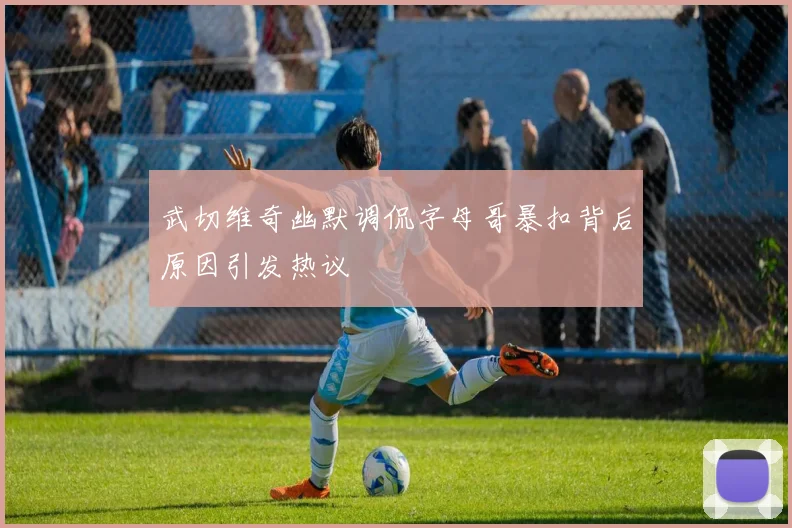 武切维奇幽默调侃字母哥暴扣背后原因引发热议