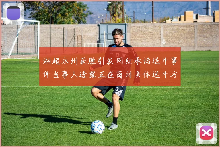 湘超永州获胜引发网红承诺送牛事件当事人透露正在商讨具体送牛方案